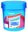 Silancolor Base Coat