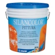 Silancolor Paint