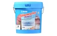 Silancolor Paint