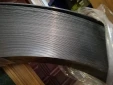 Sika CarboDur S1012
