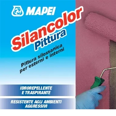 Silancolor Paint