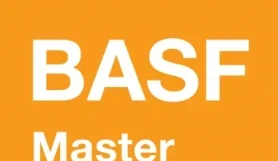 MasterSeal 934