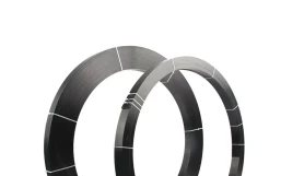 CWrap CarbonPlate 14/100