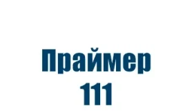Праймер 111